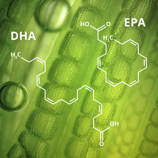 Omega 3 olej DHA + EPA vegan